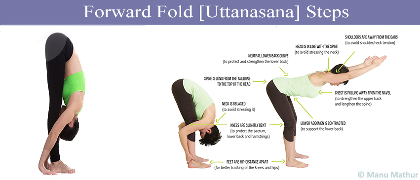 Forward Fold Uttanasana Yoga Pose