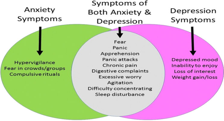 Signs And Symptoms Of Anxiety In 11 Year Old